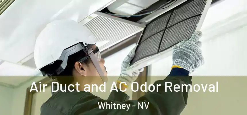  Air Duct and AC Odor Removal Whitney - NV