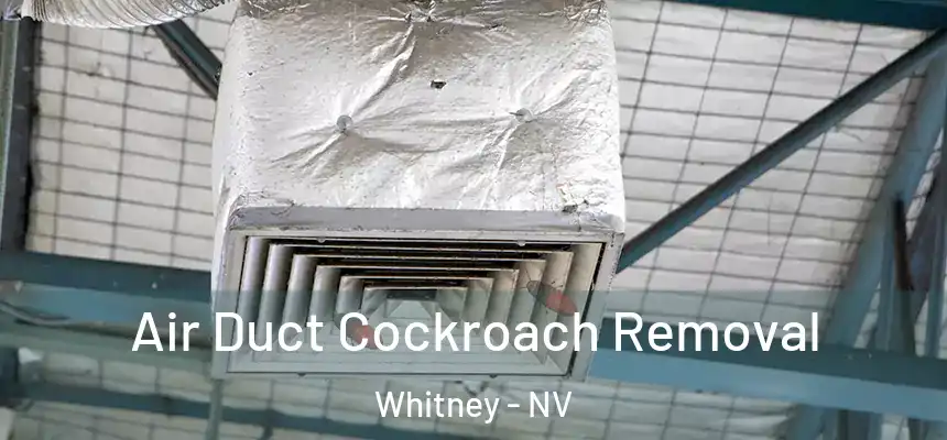  Air Duct Cockroach Removal Whitney - NV