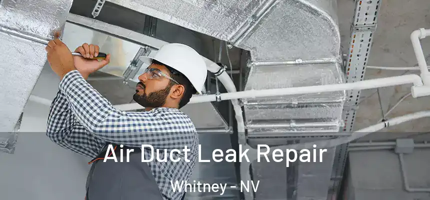  Air Duct Leak Repair Whitney - NV