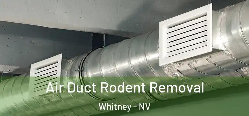 Air Duct Rodent Removal Whitney - NV