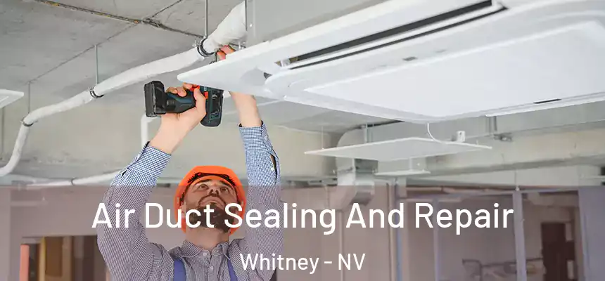  Air Duct Sealing And Repair Whitney - NV