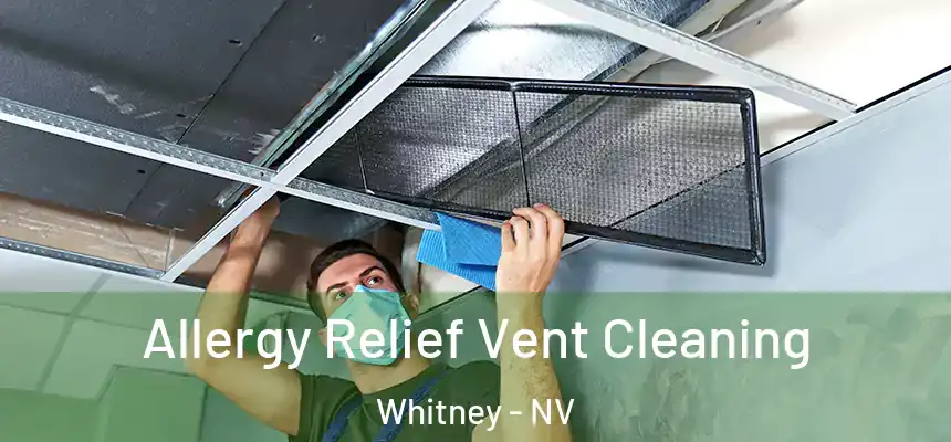  Allergy Relief Vent Cleaning Whitney - NV