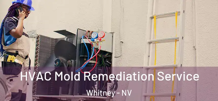 HVAC Mold Remediation Service Whitney - NV