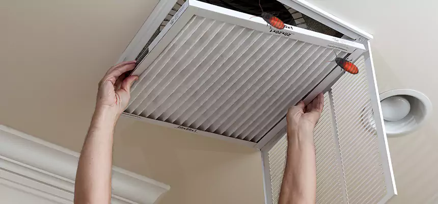 Preventive Cockroach-Proofing for Ducts in Whitney