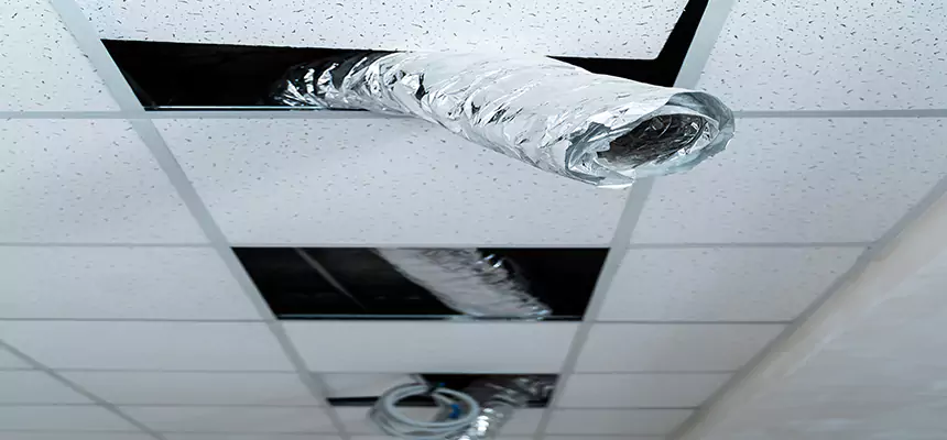 Our Air Duct Pet Hair Removal Services in Whitney, NV