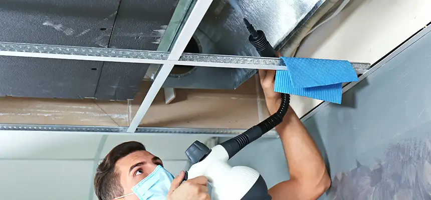 Our Air Duct Rodent Removal Services in Whitney, NV