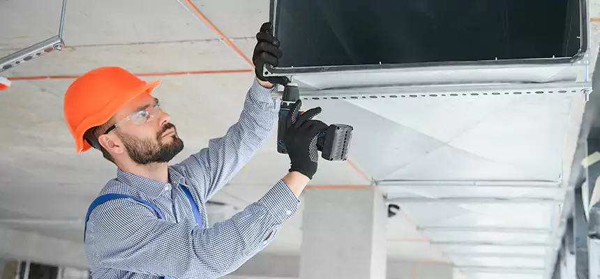 Roof Cap & Exterior Hood Lint Buildup Removal – Whitney