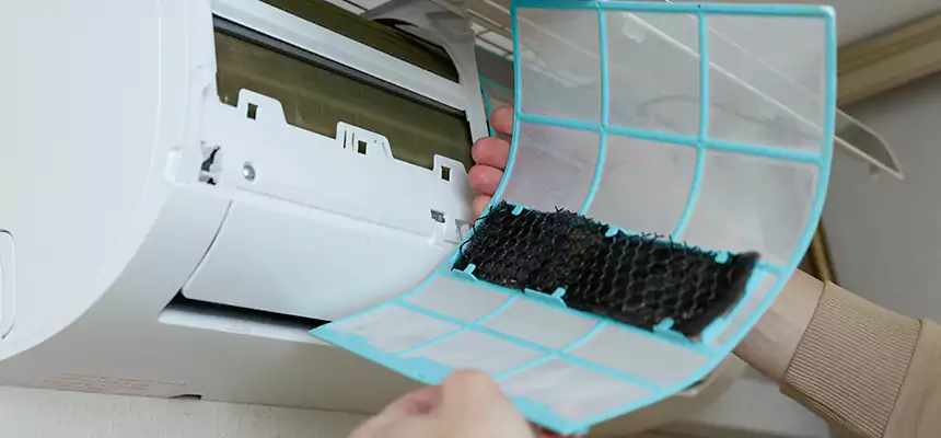 Gentle Ductwork Odor-Control Pet Dander Duct Cleaning in Whitney, NV