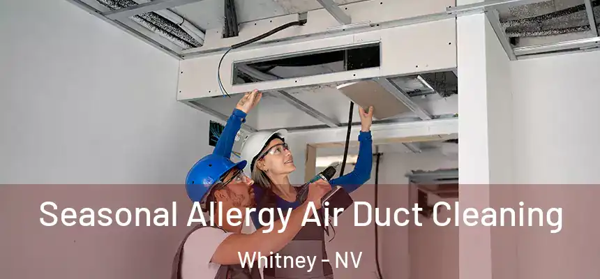  Seasonal Allergy Air Duct Cleaning Whitney - NV