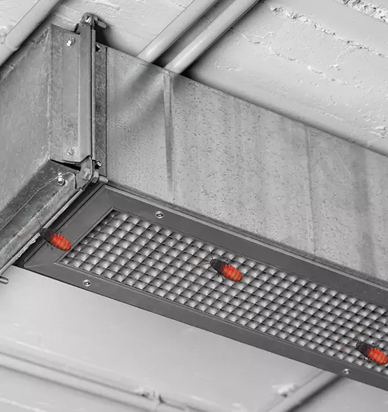 About Air Duct Cockroach Removal in Whitney, NV