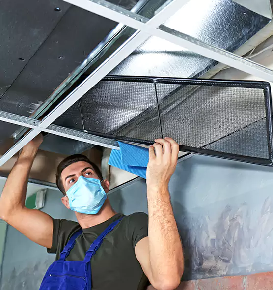 Professional Home Ventilation Cleaning in Whitney, NV