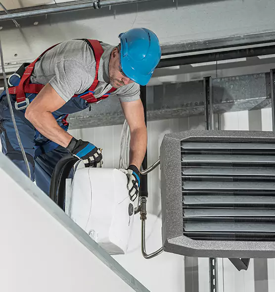 About HVAC Mold Remediation Service in Whitney, NV