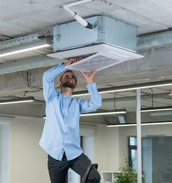 Advanced Rodent Droppings In Vents in Whitney, NV