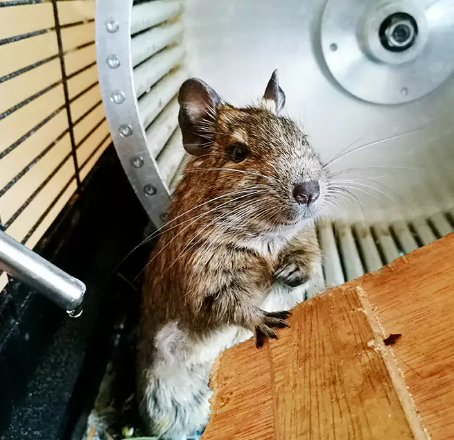 Why Homeowners & Businesses Trust Us Whitney, NV?