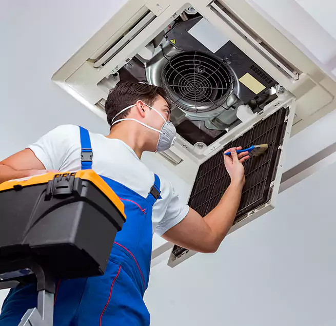 Why Homeowners & Businesses Trust Us in Whitney, NV?