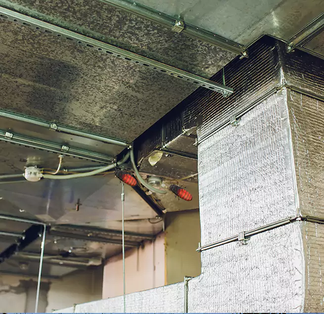 Why Homeowners & Businesses Trust Us Whitney, NV?