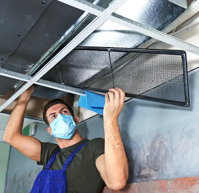 Why Homeowners & Businesses Trust Us in Whitney, NV?