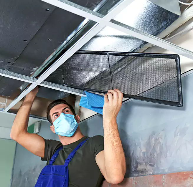 Why Homeowners Businesses Trust Us in Whitney, NV